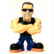 paulsr.jpg